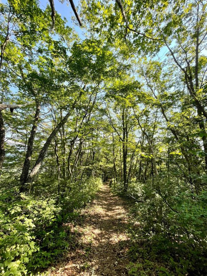 白马村 熊山旅舍酒店 外观 照片