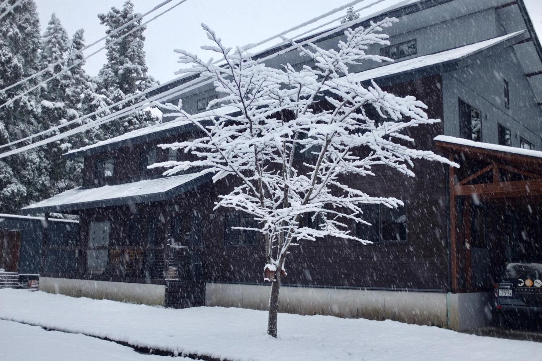 白马村 熊山旅舍酒店 外观 照片