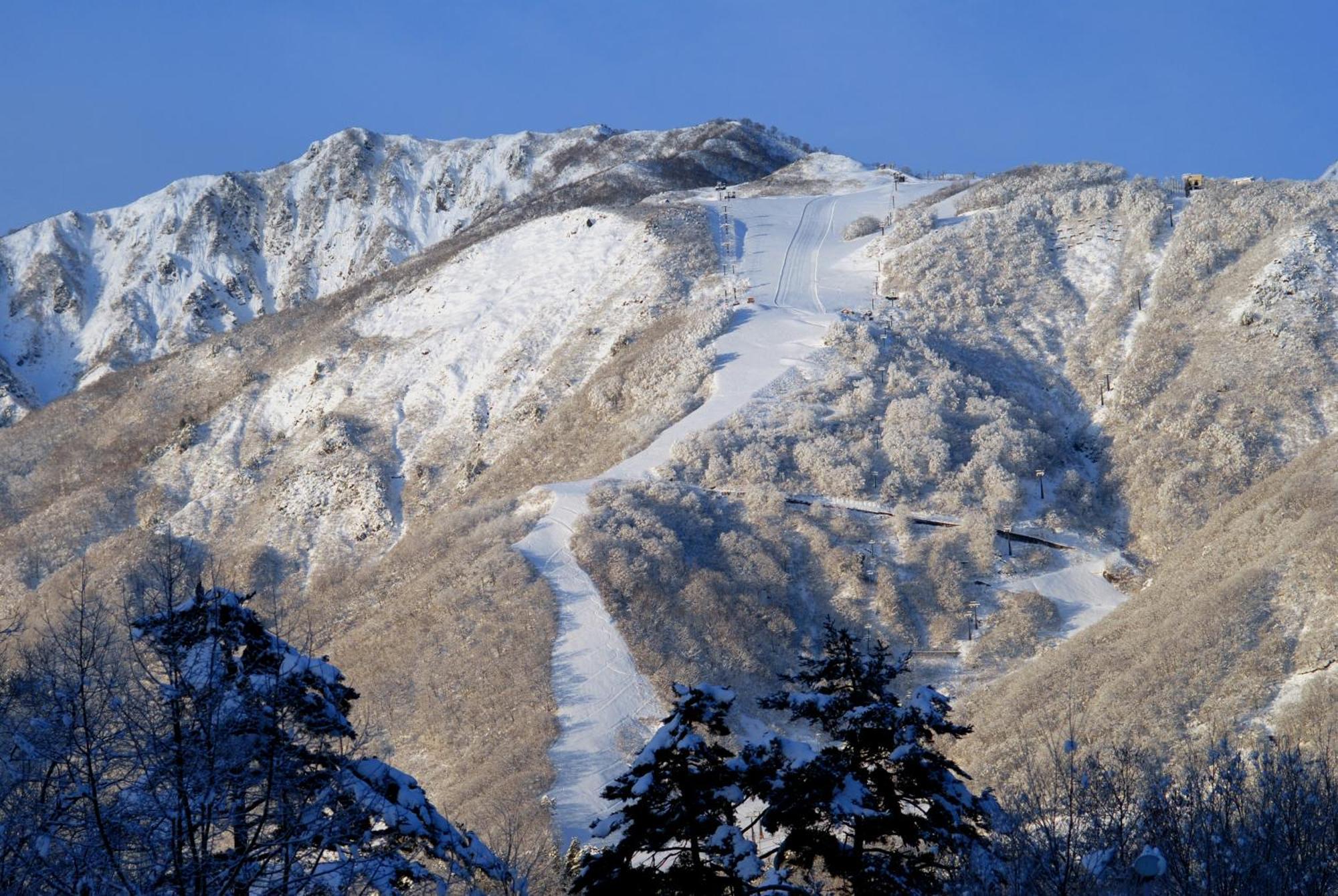 白马村 熊山旅舍酒店 外观 照片